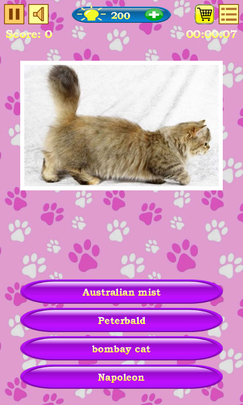 Cats Quiz — cover