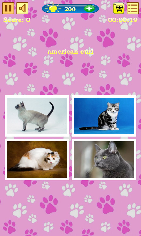 Cats Quiz screenshot