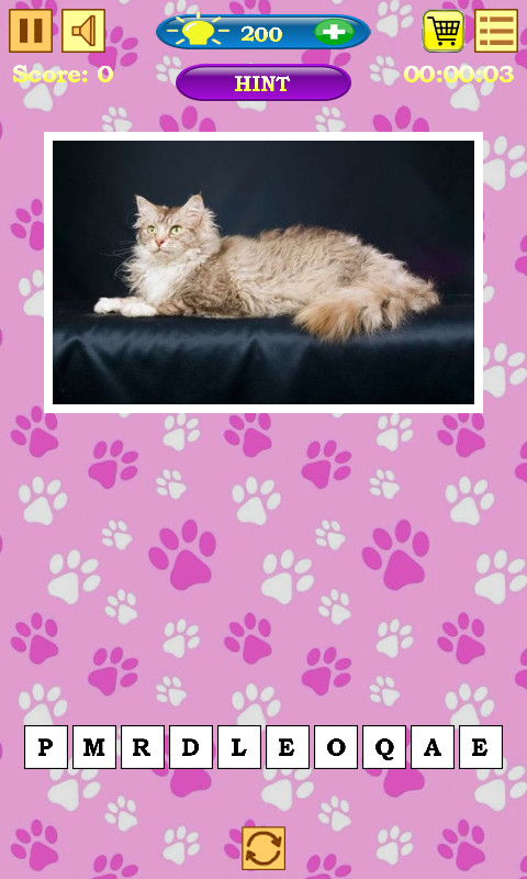 Cats Quiz screenshot