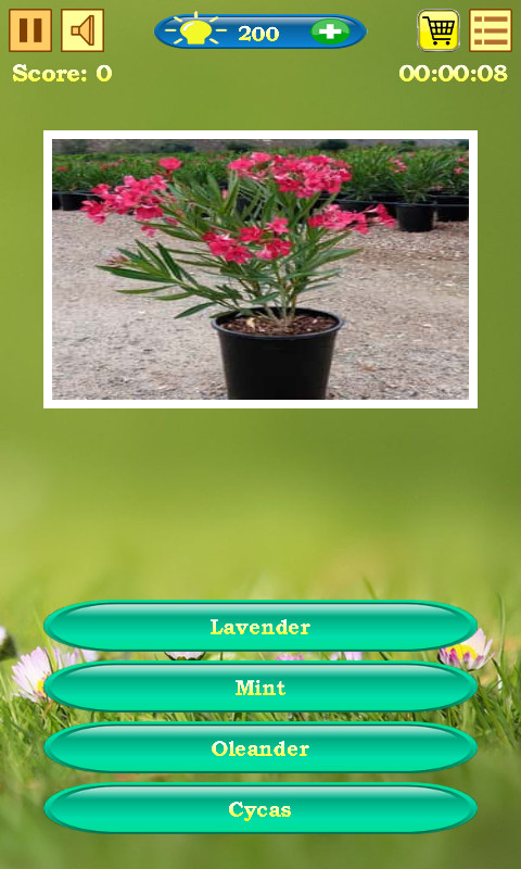 Flowers Quiz — cover