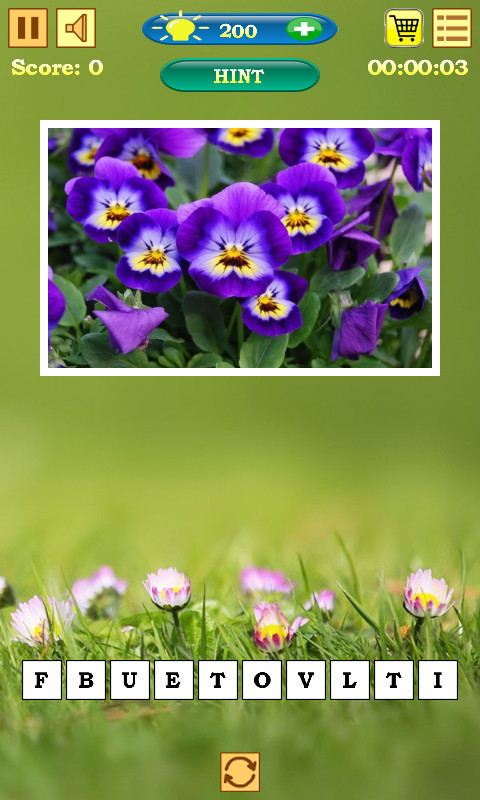 Flowers Quiz screenshot