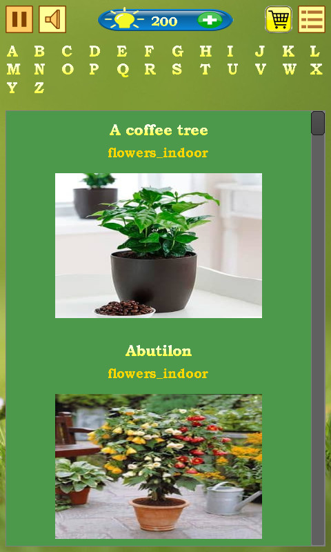 Flowers Quiz screenshot