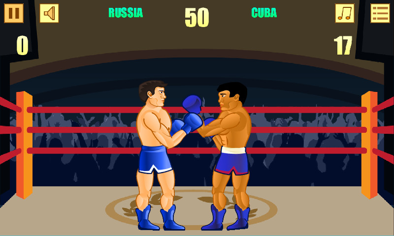 Ragdoll Boxing — cover
