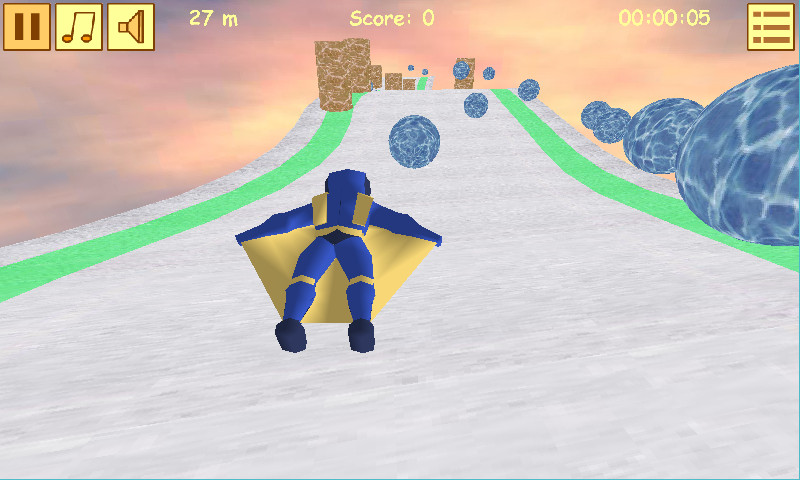 Wingsuit Flight — cover